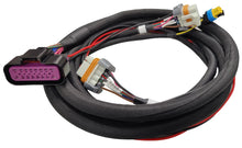 Load image into Gallery viewer, MSDReplacement Harness - MSD 6014 LS Control88014 - Back View