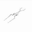 Load image into Gallery viewer, MagnaFlow Sys C/B 64-66 Ford Mustang 2.5inch - Additional View 13
