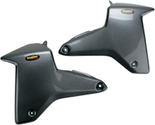 Load image into Gallery viewer, Maier Air Scoops - Black Carbon 17805-30 - Main Product View