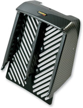 Load image into Gallery viewer, Maier Radiator Cover - Yamaha Banshee - Carbon Fiber 18959-30 - Main Product View