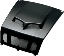 Load image into Gallery viewer, Maier Turbo Intake Scoops - Black Carbon 19476-30 - Side View