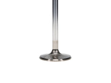 Load image into Gallery viewer, Manley 68-73 Dodge 5.6L Small Block Severe Duty Exhaust Valves 1.6in Head .371in Stem (Set of 8) - Side View