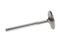 Load image into Gallery viewer, Manley 68-73 Dodge 5.6L Small Block Severe Duty Exhaust Valves 2.020in Head .371in Stem  (Set of 8) - Installation View