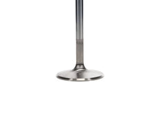 Load image into Gallery viewer, Manley 68-73 Dodge 5.6L Small Block Severe Duty Exhaust Valves 2.020in Head .371in Stem  (Set of 8) - Additional View 5