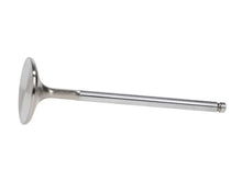 Load image into Gallery viewer, Manley 92-00 Acura Integra / 99-00 Honda Civic 16 Valve 33.0mm Race Flo F/F Intake Valves (Set of 8) - Side View