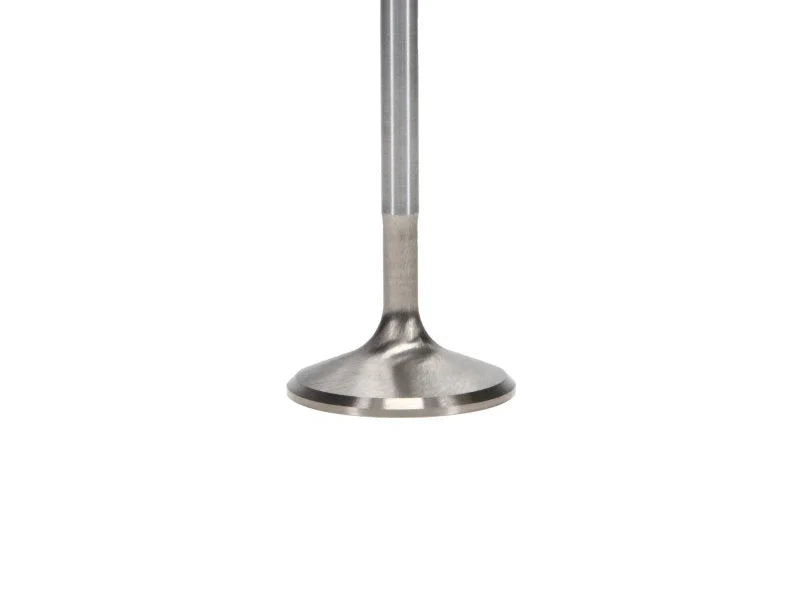 Manley 92-00 Acura Integra / 99-00 Honda Civic 16 Valve 33.0mm Race Flo F/F Intake Valves (Set of 8) - Back View