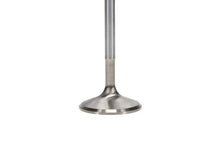 Load image into Gallery viewer, Manley 92-00 Acura Integra / 99-00 Honda Civic 16 Valve 33.0mm Race Flo F/F Intake Valves (Set of 8) - Back View