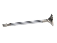 Load image into Gallery viewer, Manley 96-98 Ford Modular 4.6L w/Bead Loc Groove 34mm Race Master Exhaust Valve - Set of 8 - Side View