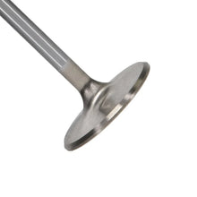 Load image into Gallery viewer, Manley 99-12 Ford V8 4.6L/281 5.4/330 45.5mm Race Series Stainless Steel Intake Valves (Set of 8) - Main Product View