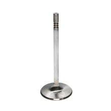 Load image into Gallery viewer, Manley 99-12 Ford V8 4.6L/281 5.4/330 45.5mm Race Series Stainless Steel Intake Valves (Set of 8) - Side View