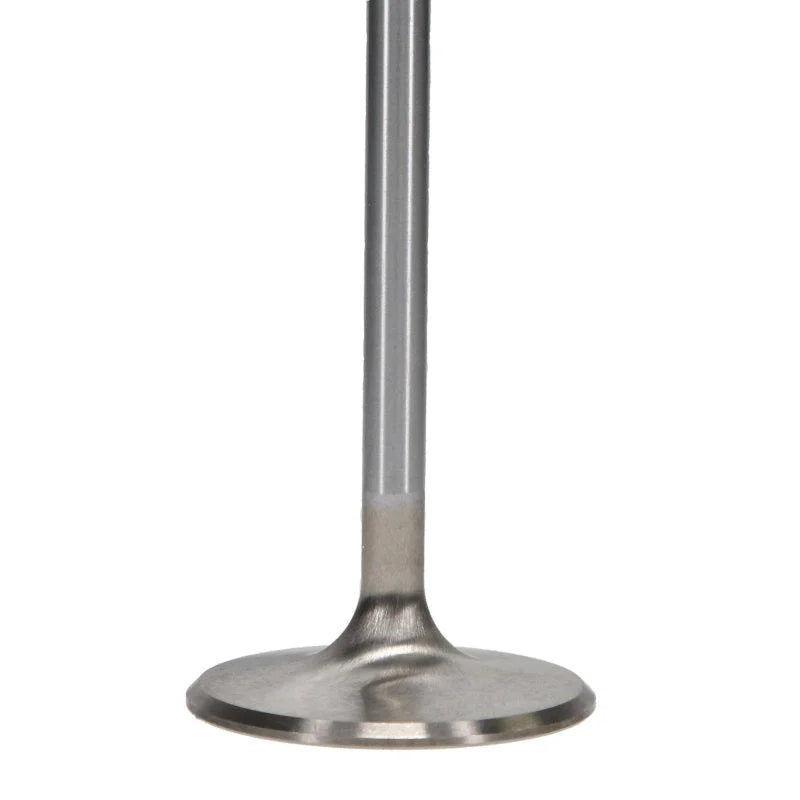 Manley 99-12 Ford V8 4.6L/281 5.4/330 45.5mm Race Series Stainless Steel Intake Valves (Set of 8) - Back View