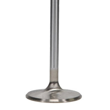 Load image into Gallery viewer, Manley 99-12 Ford V8 4.6L/281 5.4/330 45.5mm Race Series Stainless Steel Intake Valves (Set of 8) - Back View