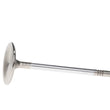 Load image into Gallery viewer, Manley 99-12 Ford V8 4.6L/281 5.4/330 45.5mm Race Series Stainless Steel Intake Valves (Set of 8) - Installation View