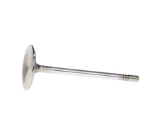 Load image into Gallery viewer, Manley 99-12 Ford V8 4.6L/281 5.4/330 45.5mm Race Series Stainless Steel Intake Valves (Set of 8) - Installation View
