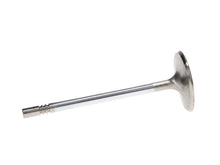 Load image into Gallery viewer, Manley 99-12 Ford V8 4.6L/281 5.4/330 45.5mm Race Series Stainless Steel Intake Valves (Set of 8) - Additional View 5
