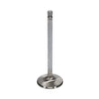 Load image into Gallery viewer, Manley Big Block Chevrolet 1.900 Diameter Stock Length Extreme Duty Exhaust Valve (Single Valve) - Back View