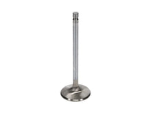 Load image into Gallery viewer, Manley Big Block Chevrolet 1.900 Diameter Stock Length Extreme Duty Exhaust Valve (Single Valve) - Back View