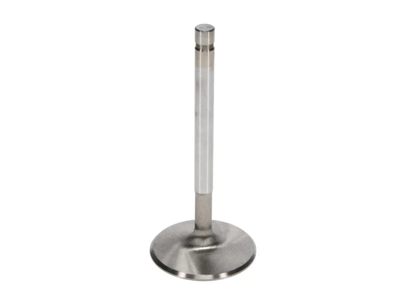 Manley Big Block Chevy 1.880 Dia Race Master Intake Valves (Set of 8) - Installation View