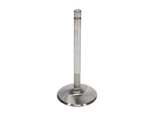 Load image into Gallery viewer, Manley Big Block Chevy Stock 3/8in Stem Diameter Race Flo Exhaust Valves (Set of 8) - Installation View