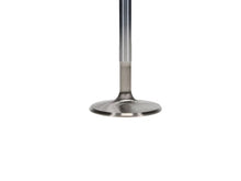 Load image into Gallery viewer, Manley Big Block Chevy Stock 3/8in Stem Diameter Race Flo Exhaust Valves (Set of 8) - Additional View 6