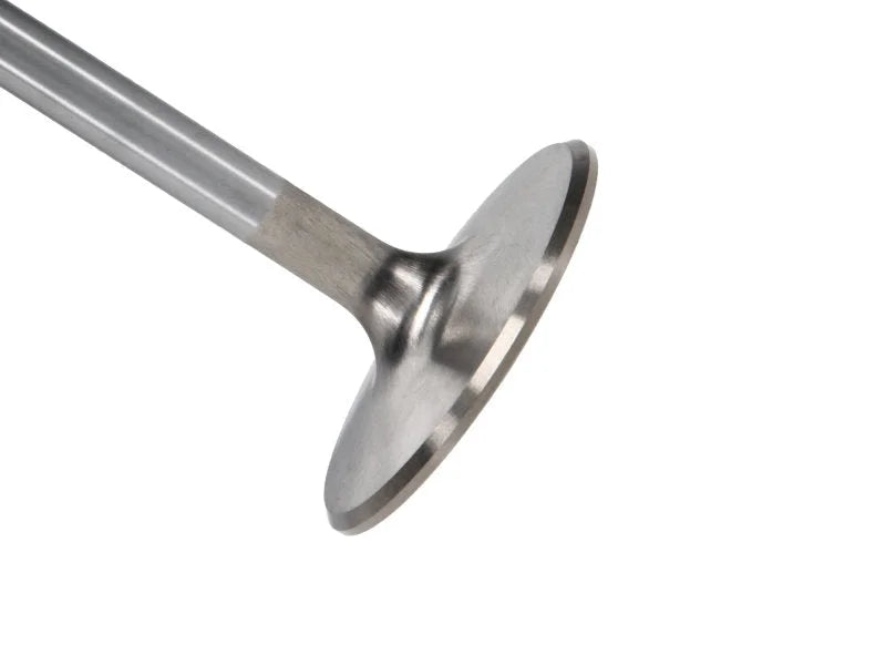 Manley Big Block Chevy Stock 3/8in Stem Diameter Severe Duty Intake Valves (Set of 8) - Main Product View