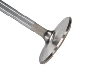 Load image into Gallery viewer, Manley Big Block Chevy Stock 3/8in Stem Diameter Severe Duty Intake Valves (Set of 8) - Main Product View