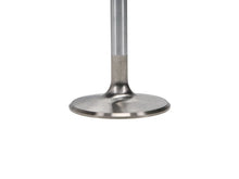 Load image into Gallery viewer, Manley Big Block Chevy Stock 3/8in Stem Diameter Severe Duty Intake Valves (Set of 8) - Back View
