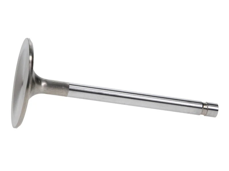 Manley Big Block Chevy Stock 3/8in Stem Diameter Severe Duty Intake Valves (Set of 8) - Installation View