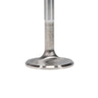 Load image into Gallery viewer, Manley Buick V6intake Valve Kit - 1.710in Head Dia. 4.730in O/A Length, 0.3415in Stem - Side View