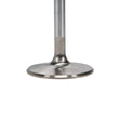 Load image into Gallery viewer, Manley Chevrolet 409intake Valve Kit - 2.200in Head Dia. 5.105in O/A Length, 0.3715in Stem - Additional View 5