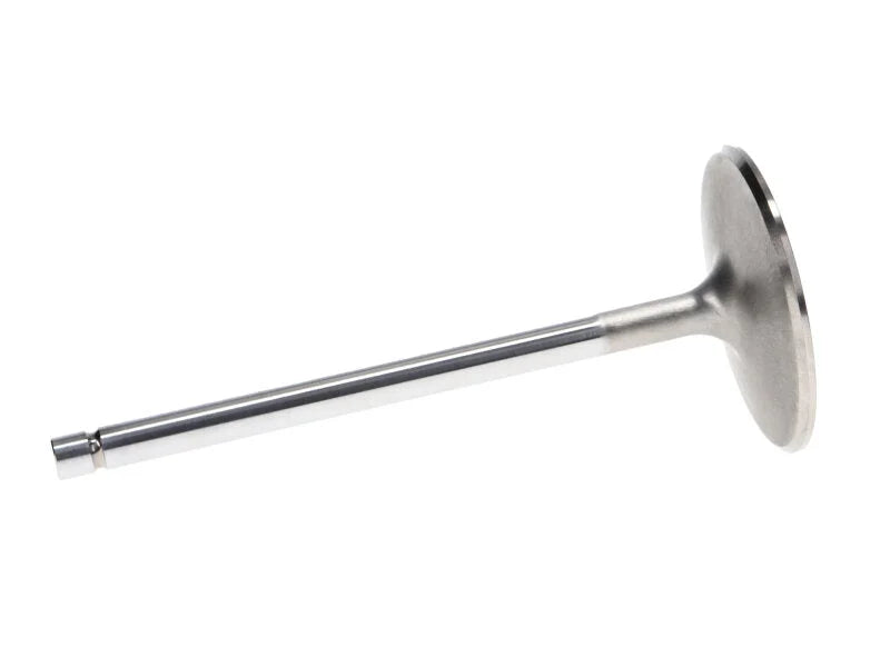 Manley Chevrolet Big Block Intake Valve Kit - 2.300in Head Dia. 5.244in O/A Length, 0.3110in Stem - Back View