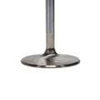 Load image into Gallery viewer, Manley Chevrolet Big Block Intake Valve Kit - 2.400in Head Dia. 6.600in O/A Length, 0.3415in Stem - Back View