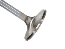 Load image into Gallery viewer, Manley Chevrolet Small Block Exhaust Valve Kit - 1.600in Head Dia. 4.965in O/A Length, 0.3415in Stem - Main Product View