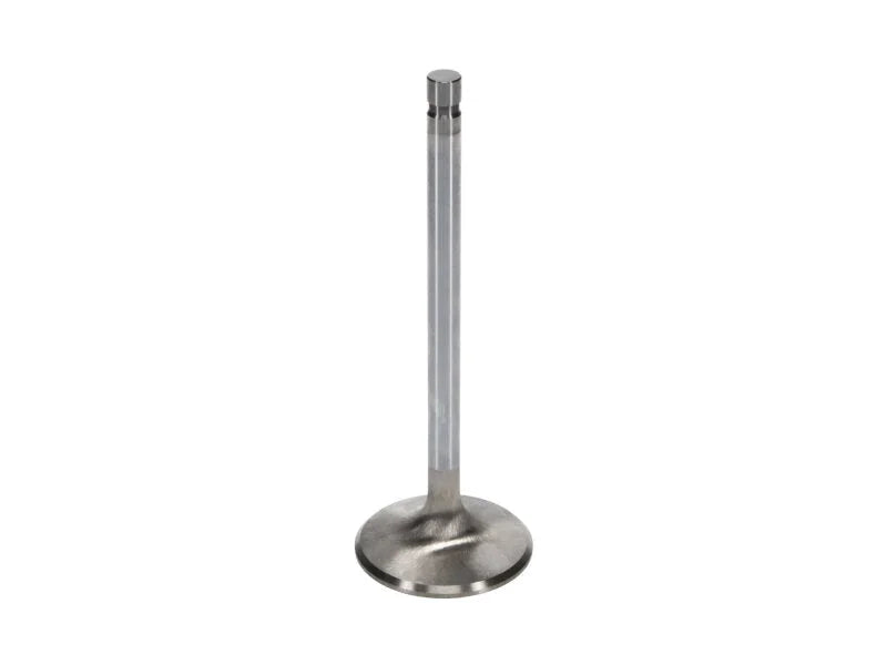 Manley Chevrolet Small Block Exhaust Valve Kit - 1.600in Head Dia. 4.965in O/A Length, 0.3415in Stem - Back View