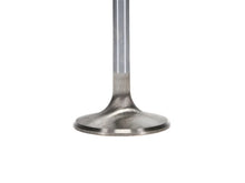 Load image into Gallery viewer, Manley Chevrolet Small Block Exhaust Valve Kit - 1.600in Head Dia. 4.965in O/A Length, 0.3415in Stem - Installation View