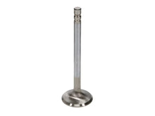 Load image into Gallery viewer, Manley Chevrolet Small Block Exhaust Valve Kit - 1.600in Head Dia. 5.165in O/A Length, 0.3415in Stem - Side View