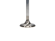 Load image into Gallery viewer, Manley Chevrolet Small Block Exhaust Valve Kit - 1.625in Head Dia. 5.540in O/A Length, 0.3110in Stem - Back View