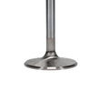 Load image into Gallery viewer, Manley Chevrolet Small Block Intake Valve Kit - 2.055in Head Dia. 4.911in O/A Length, 0.3415in Stem - Back View