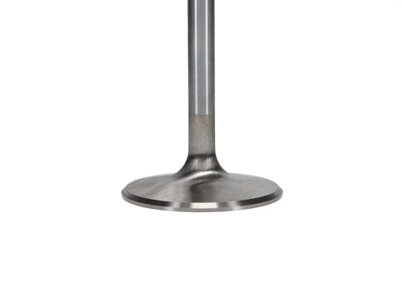Manley Chevrolet Small Block Intake Valve Kit - 2.055in Head Dia. 4.911in O/A Length, 0.3415in Stem - Back View
