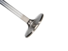 Load image into Gallery viewer, Manley Chevy Big Block Chevy 1.880in Severe Duty Exhaust Valves - Main Product View