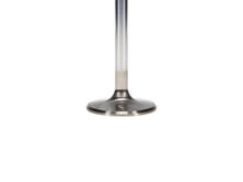 Load image into Gallery viewer, Manley Chevy Big Block Chevy 1.880in Severe Duty Exhaust Valves - Back View