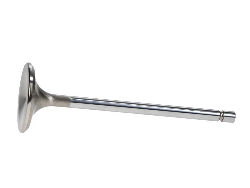 Manley Chevy L83 5.3L 1.560in Head Diameter Pro Flo/Severe Duty Exhaust Valve (Single) - Back View
