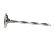 Load image into Gallery viewer, Manley Chevy L83 5.3L 1.560in Head Diameter Pro Flo/Severe Duty Exhaust Valve (Single) - Back View