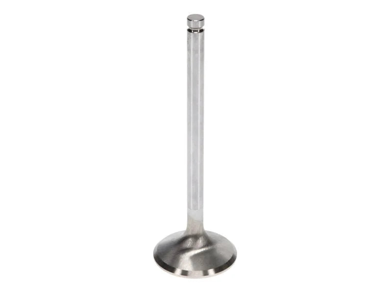 Manley Chevy LS-1, LS-2 Small Block 1.550 Pro Flo Severe Duty Exhaust Valves (Set of 8) - Back View