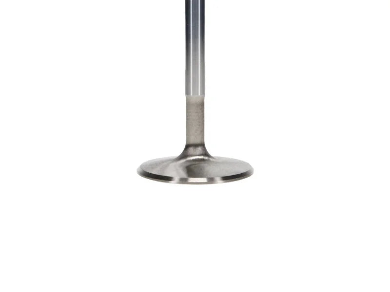 Manley Chevy LS-1 Small Block 2.055 Pro Flo Severe Duty Exhaust Valves (Set of 8) - Back View