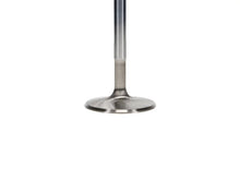 Load image into Gallery viewer, Manley Chevy LS-1 Small Block 2.055 Pro Flo Severe Duty Exhaust Valves (Set of 8) - Back View