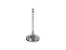 Load image into Gallery viewer, Manley Chevy LS-1 Small Block 2.055 Pro Flo Severe Duty Exhaust Valves (Set of 8) - Additional View 6