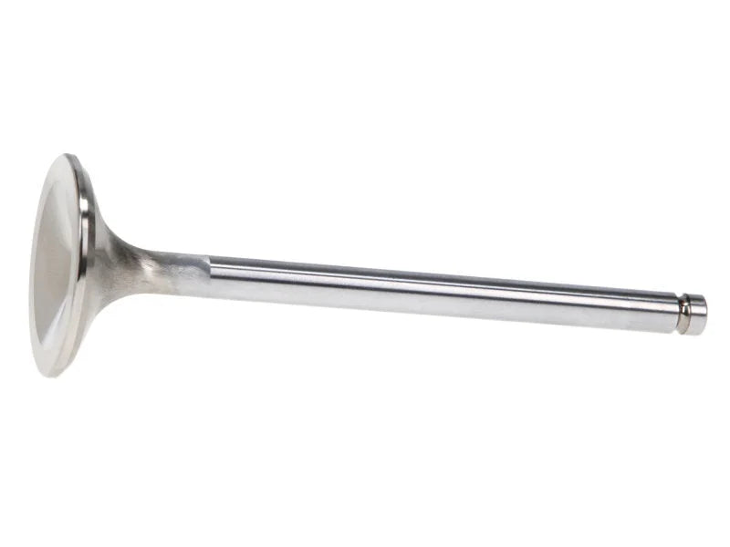 Manley Chevy LS-6 Head Small Block Severe Duty/Pro Flo Exhaust Valves (Set of 8) - Installation View