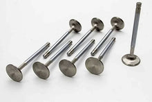 Load image into Gallery viewer, Manley Chevy LT-1 1.590 Head Diameter Pro Flo Exhaust Valves (Set of 8) - Back View