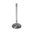 Load image into Gallery viewer, Manley Chrysler 340intake Valve Kit - 2.020in Head Dia. 5.240in O/A Length, 0.3415in Stem - Side View